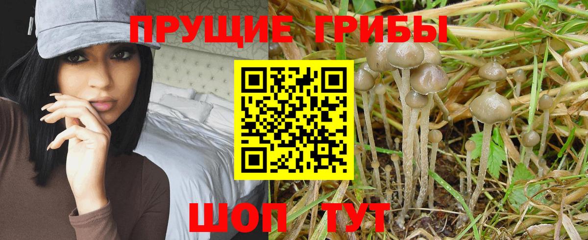 Гуково  Галлюциногенные грибы MAGIC MUSHROOMS  Галлюциногенные грибы прущие грибы  Вход с VPN 