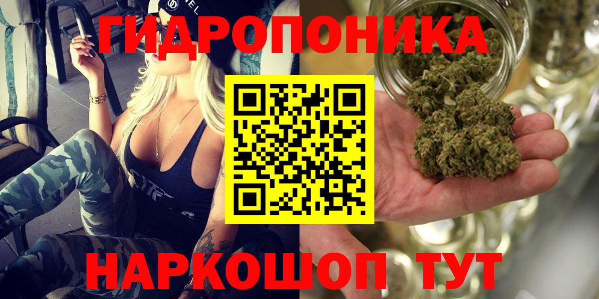 Канабис конопля Гуково